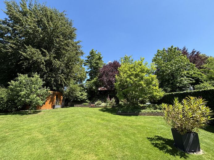 Ein Haus, viele Möglichkeiten - Platz für Familie und Beruf in drei separaten Einheiten – Garten