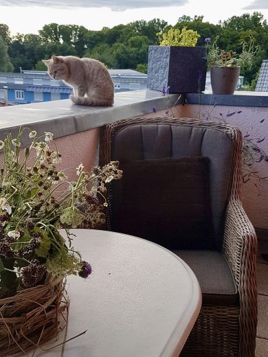 Terasse im Penthousestyle!