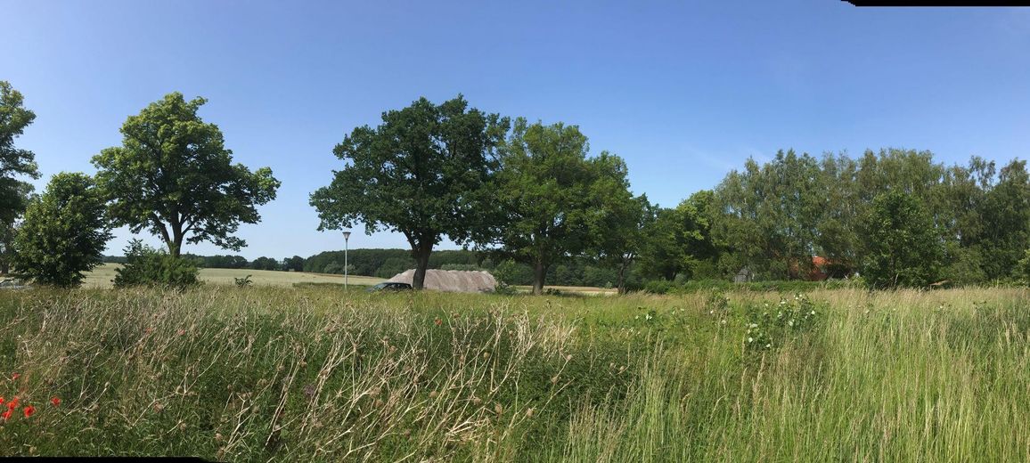 Blick nach Westen