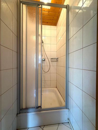 2 tolle Häuser * Neu- und Altbau * in Freisbach – Hinterhaus: Dusche