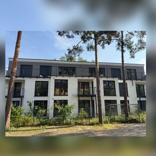 Première location d’un appartement de 3 pièces avec balcon à Potsdam-Drewitz – Photo 1