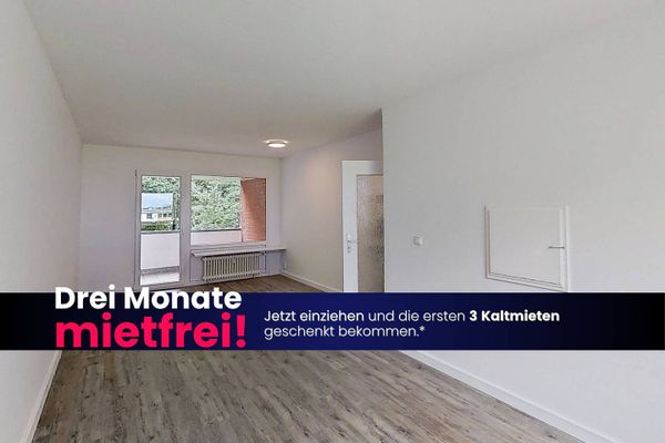 EINZIEHEN UND BIS ZU 3 KALTMIETEN SPAREN: Große 3-Zimmer-Wohnung mit BALKON und EBK in Kappeln-Ellenberg