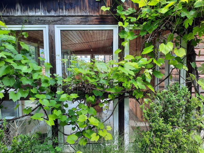 Wintergarten
