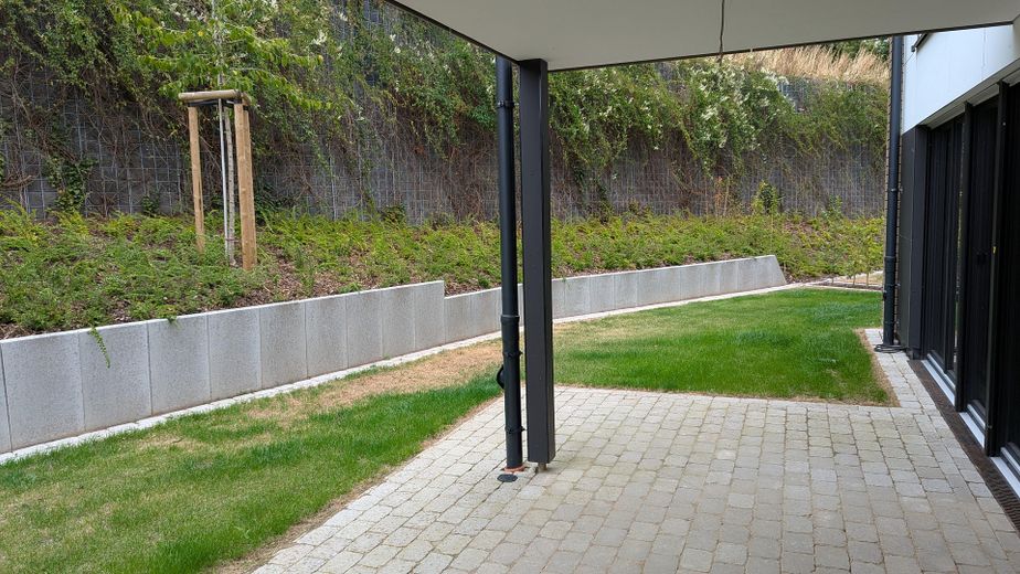 Pierwsze zasiedlenie w Damme (dostępne 4 domy) | 5 pokoi | KfW 40 | garaż i ogród | ok. 165 m² – Garten