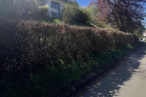 Vrijstaande eengezinswoning op een hellend perceel van 6.360 m² dat met de auto bereikbaar is, nabij Bad Münstereifel