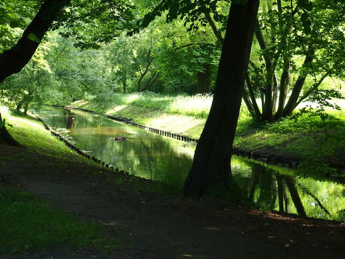 Ático en una amplia zona verde – Schlosspark