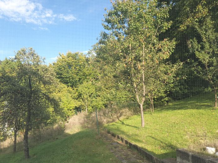 angr Zusatzgrundstück 2-2