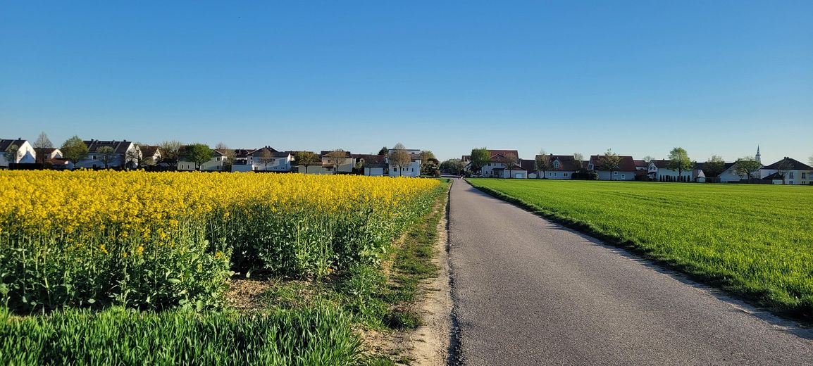 Casa da sogno in posizione eccellente a Gaimersheim – Blick auf Gaimersheim vom Feld