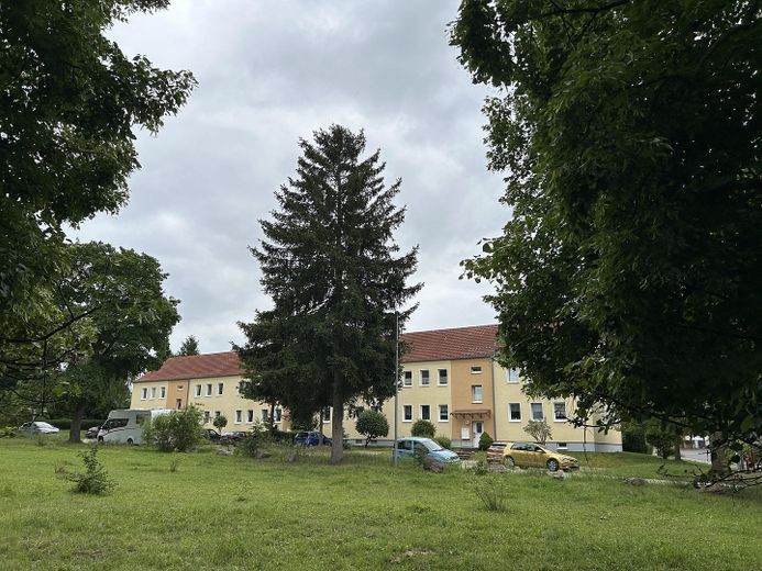 Blick aus dem Grünen von West