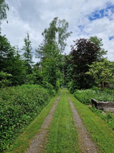 Landhaus am Rande des Nationalparks Hunsrück-Hochwald – Obere Allee