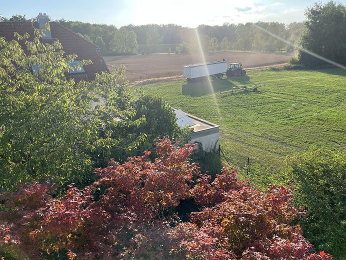 Blick von der Dachterrasse