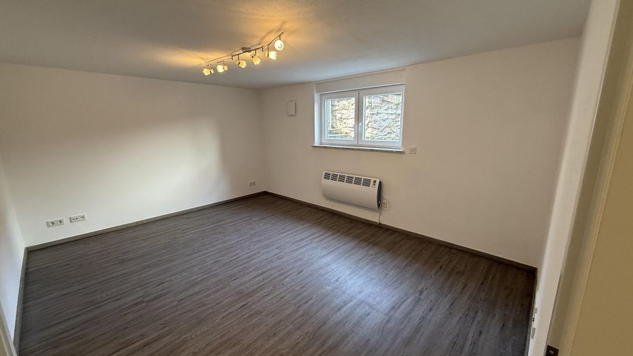 Odnowione mieszkanie z tarasem o powierzchni 32 m² na niskim parterze – do zamieszkania lub jako inwestycja – Wohnzimmer