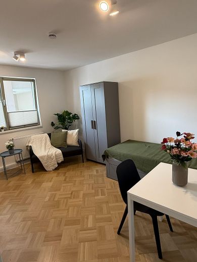 Möbliertes 1-Zimmer Appartement in Erlanger nähe Bohlenplatz - Erstbezug nach Kernsanierung – Appartement