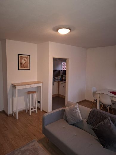 Wohnen im historischen Fachwerkhaus: möblierte 3-Zimmer-Wohnung 1 Min in die Innenstadt – Wohnzimmer 