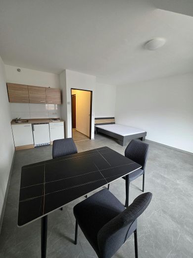 Vollmöblierte 1-Zimmer-Wohnung – modern  – 29 m² – sofort bezugsfrei! – Wohnung 12