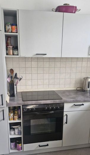 ruhige, helle 2-Raum Wohnung mit Parkettboden + Balkon + Küche – Küche
