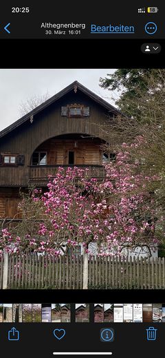 Magnolie 