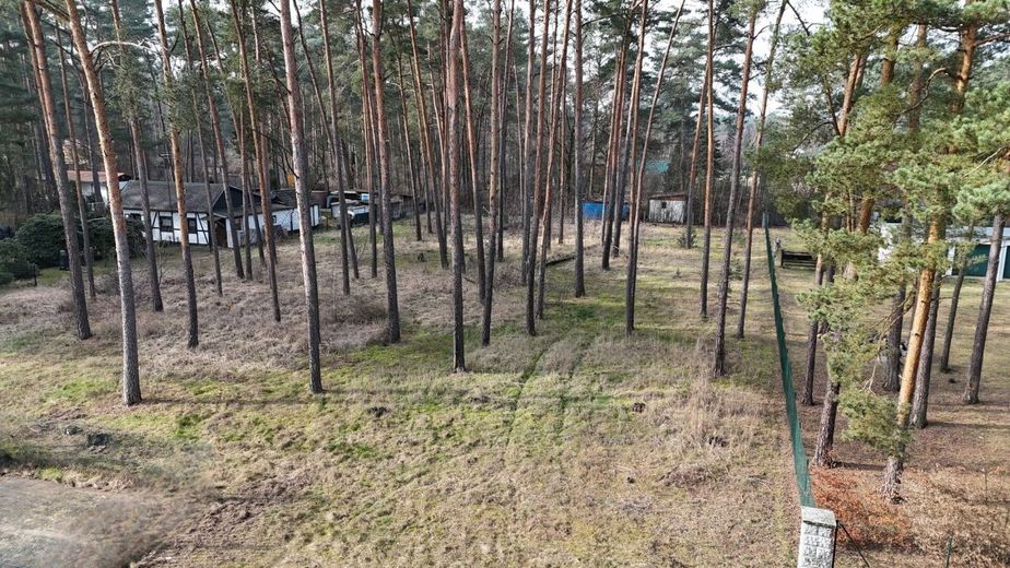 Bauträgerfrei!! 2593 m² großes Bauland in Borkheide – Frontansicht