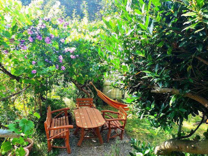 Natur Laube Garten
