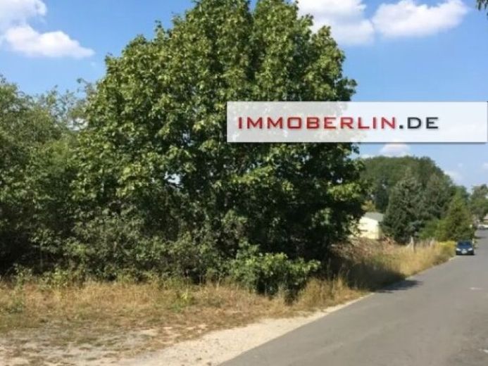 IMMOBERLIN.DE - Exzellentes Baugrundstück beim Großen Seddiner See – Foto 1