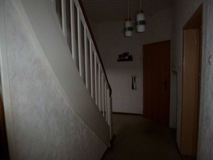 Doppelhaushälfte mit Nebengebäude und Grundstück in Waldnähe – 08 P1070666k