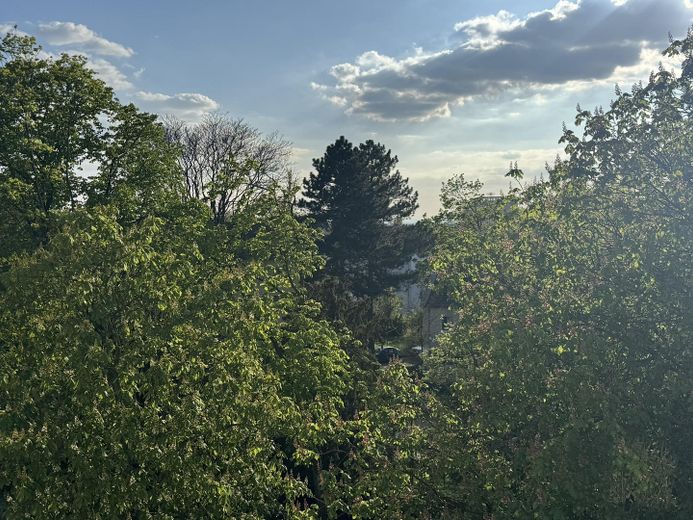 Attraktive DG-Wohnung -  Citylage im Grünen an Kuppelkirche, hohe Lebensqualität; von privat – Blick nach Westen in den Park