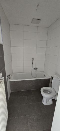 Neu sanierte 2-Raum Wohnung im Zentrum von Rodewisch – Bad