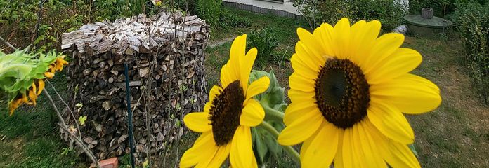 مساحة لأفكاركم - منزل عائلي مع شقة مستقلة وقطعة أرض كبيرة – Gartenseite