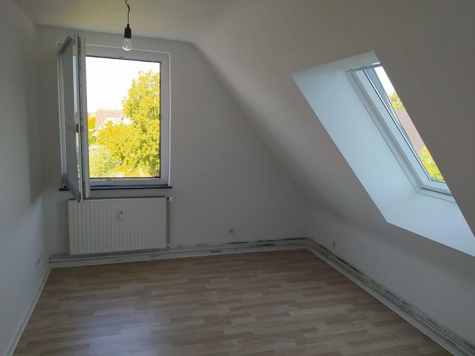 Zimmer Elektrorollodachfenster