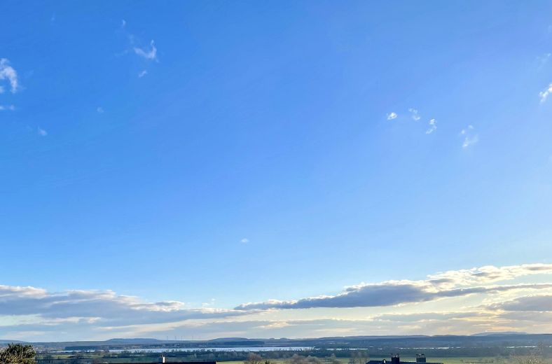 Blick von überdachter Terrasse