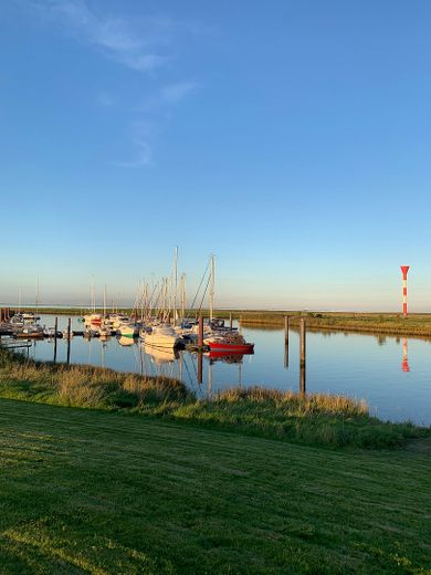 Der Hafen, 100 Meter entfernt