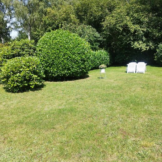Garten im Sommer