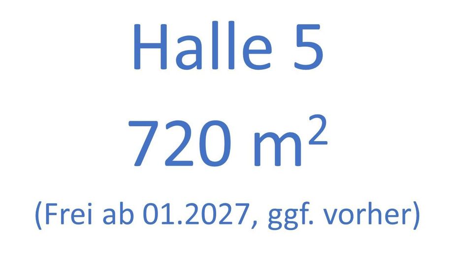 120 qm Halle, 720 qm Halle, 200 qm Halle im Bliesgau, z.T. mit Büro & Videoüberwachung – Halle 5