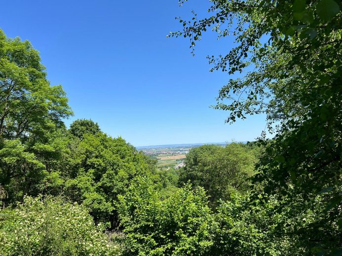 Aussicht