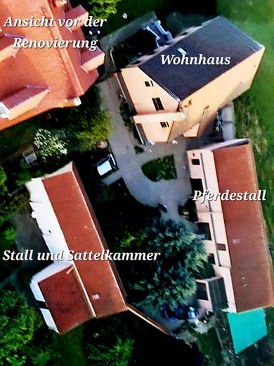 Tu sueño de tener un caballo en casa se hace realidad – Foto 5