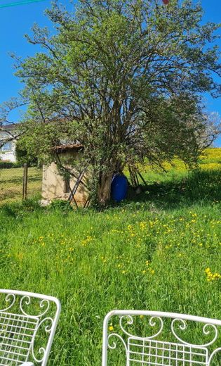 Garten mit Hühnerhäuschen