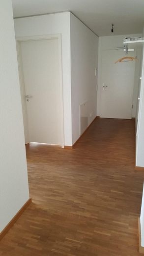 Schöne moderne helle 4 Zi. Wohnung nähe Rebstockbad ohne Provision – Wohnungstür von drinne