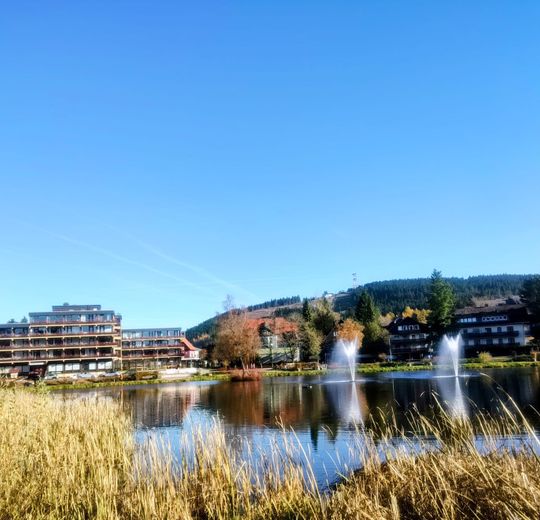 Apartment im Harz- Ferienwohnung / Kapitalanlage / Eigennutzung – WJ-00129_bild_016.jpg