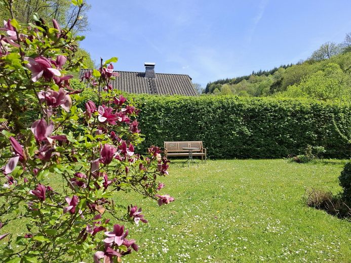 Garten Ostseite