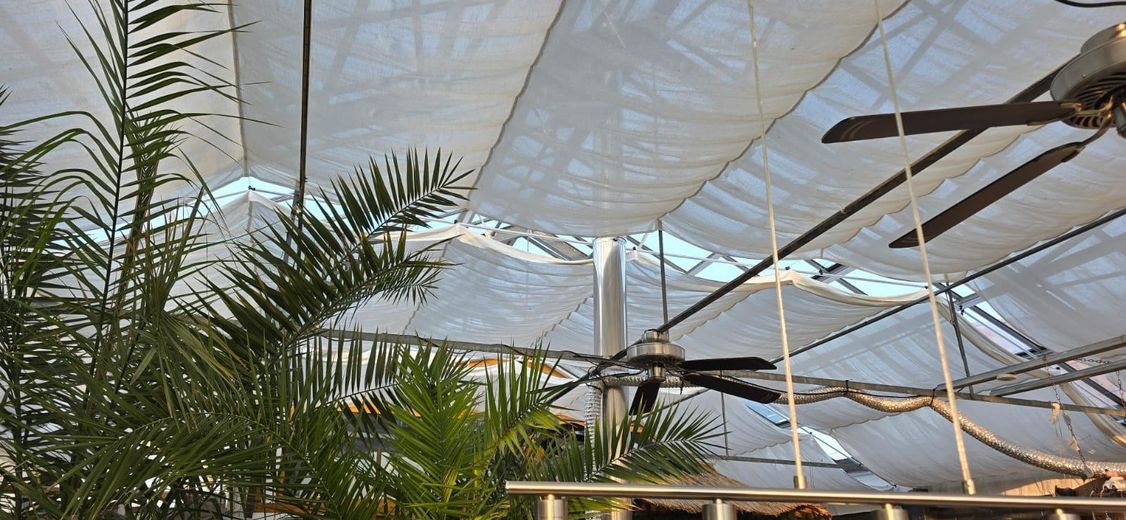 Sonnenschutz im Glashaus