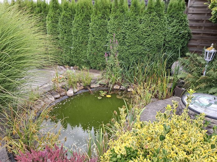 Teich an der Aussenterrasse