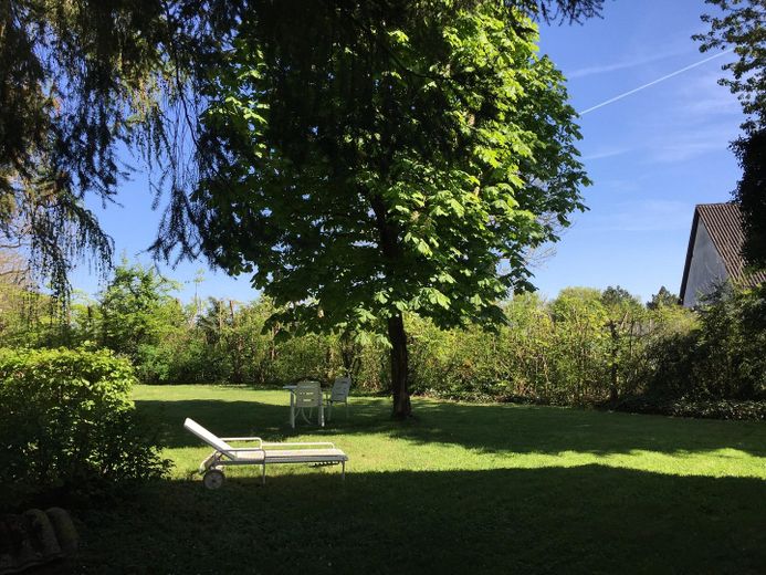 Garten/Baugrundstück