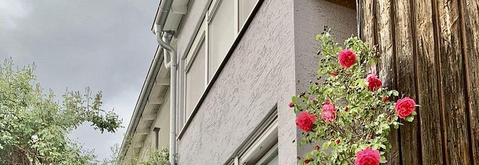 Ansicht Aufgang und Garage