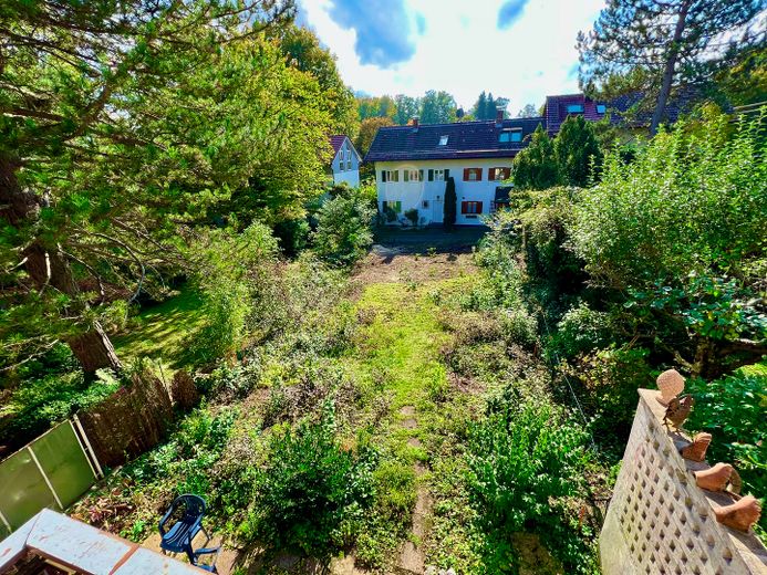 Riesiger sonniger Südgarten