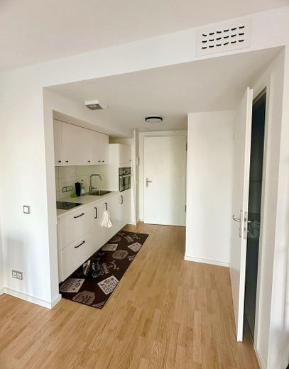 LISTO PARA OCUPAR DE INMEDIATO - MODERNO APARTAMENTO URBANO DE 30 M² EN EL PRÓSPERO BERLÍN-ADLERSHOF – Küche und Eingangsbereich