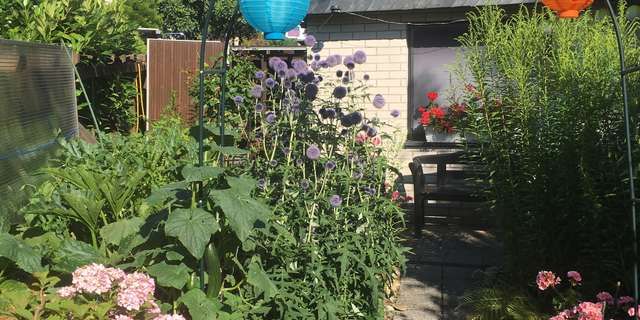 Garten