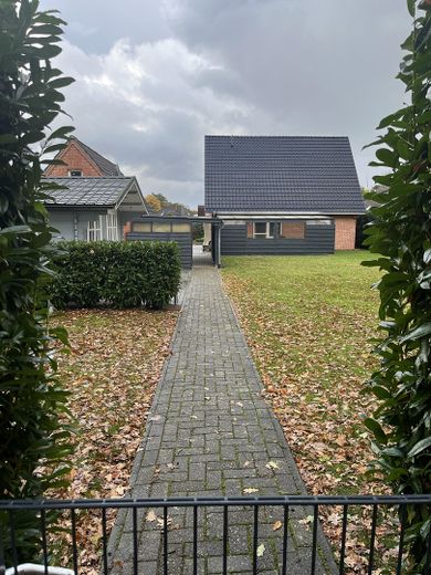 Ansicht Hintergrundstück