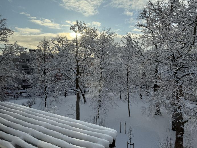 Blick in den Privatgarten