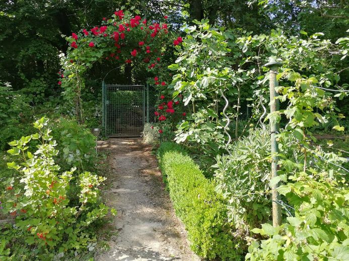 Yeşillikler içinde sakin bir yaşam vahası – Garten direkt am Haus