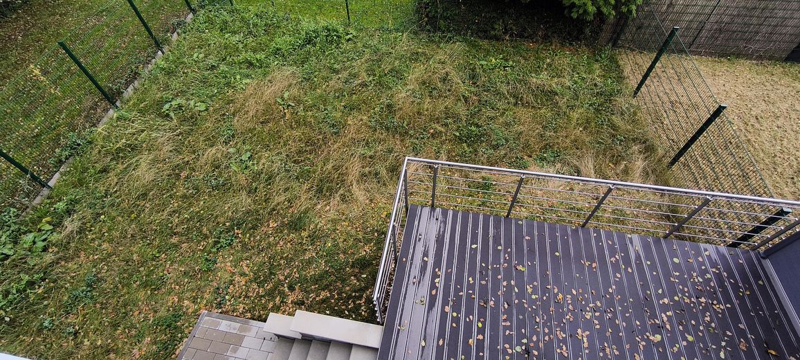 Blick in den Garten vom 1OG